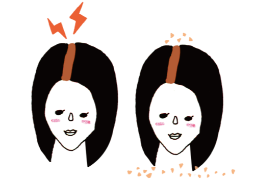 頭皮の乾燥or頭皮が硬い、フケor頭皮がかゆい